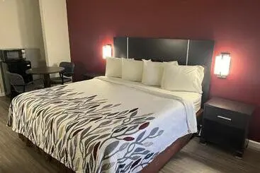 ホテル Red Roof Inn Rockingham