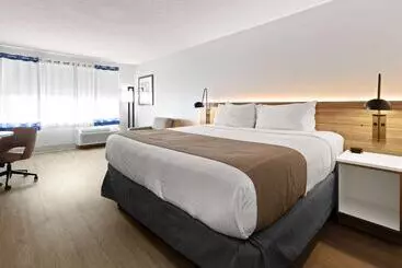 酒店 Wyndham Garden Manassas