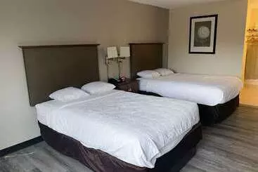 Motel 6 Rochester   Airport