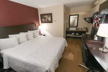 בית מלון כפרי Red Roof Inn Plus+ Nashville Fairgrounds