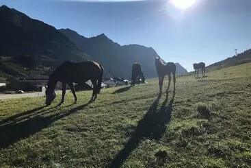 酒店 Jagdschloss Resort