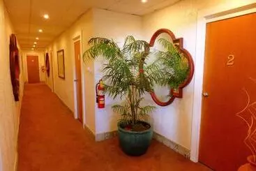 هتل Casa Del Caribe Inn