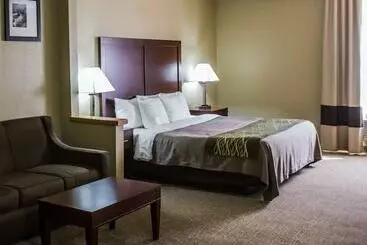 酒店 Comfort Inn Morris I80