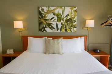 酒店 Driftwood Inn