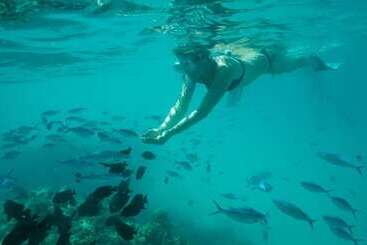 Pensiune Thoddoo Retreat