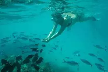 Pension Thoddoo Retreat