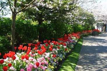 בית מלון כפרי Miyazaki Kanko