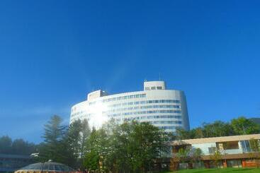 Hotel Shin Furano Prince