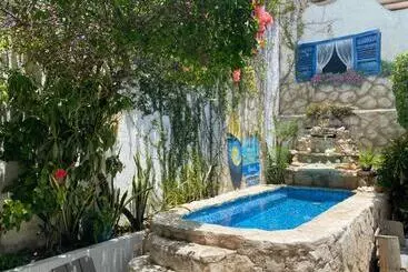 Bed and Breakfast Caribo Cozumel