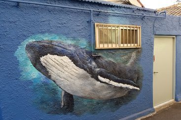 ペンション Jinho S Black Whale Guesthouse & Bar