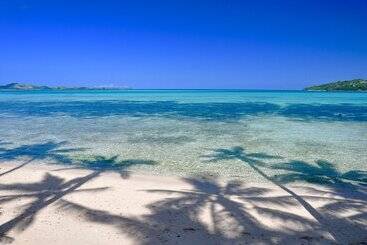 בית מלון כפרי Coconut Beach Resort