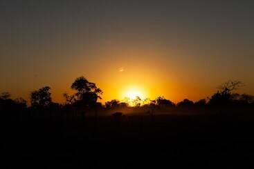 Hotel Porto Jofre Pantanal
