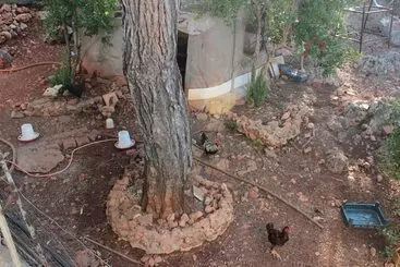 Apartamenty turystyczne Patara Doga Apart