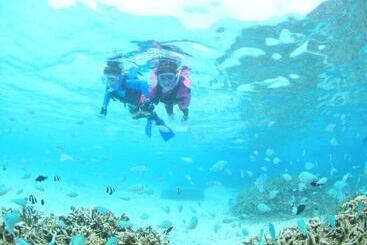 Pensiune Pine Shima Resort Coral Fish