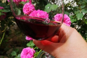 فندق ريفى Casa Rural El Llano Quintanilla