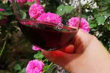 Hotel Rural Casa Rural El Llano Quintanilla