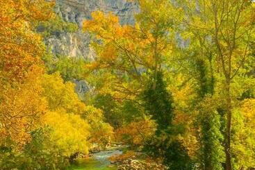 تختخواب و صبحانه Domaine De La Brave