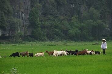 펜션 Zuli Zen Home