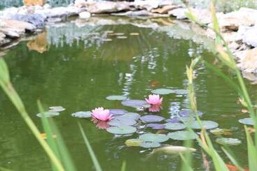 צימר Chambre D Hotes La Quercynoise