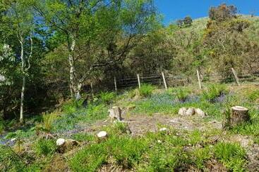 Bed and Breakfast The Old Cottage