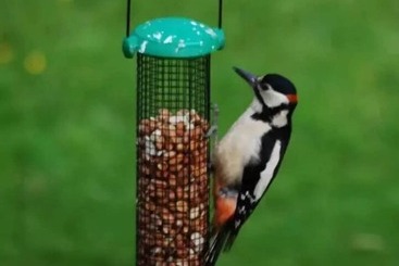 Dunlichity House B&b