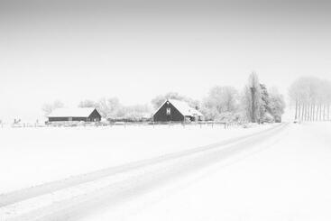 Bed and Breakfast Het Zoete Pèèrd