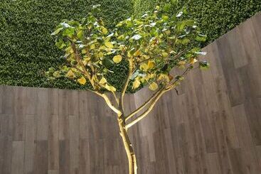 هتل Tierra Viva Miraflores Centro