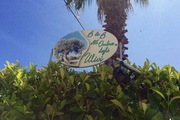 B&b All'ombra Degli Ulivi