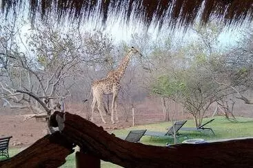 Hotel Call Of The Wild Lodge