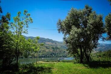 コテージ Casa Da Mouta   Douro Valley