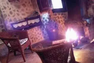 Aamiaismajoitus (B&B) La Stella