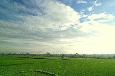 酒店 Dhyanapura City