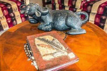 Hotel Mawusi Bush Lodge