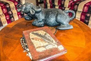 Hotel Mawusi Bush Lodge