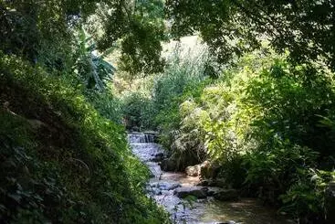 پانسیون Africa S Eden Guesthouse