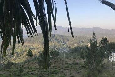 Pension Hill Forest Cottage