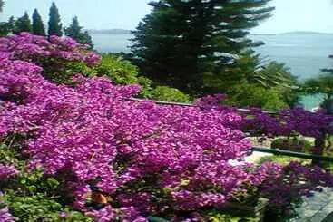 Majatalo Guest House Villa Nina