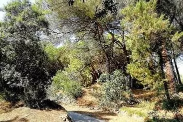 Hostelli Csa Hotel Beach & Park