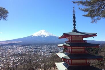 Pensão Forest Resort Cosmos
