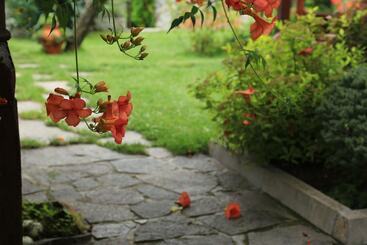 Pension Iliikova House