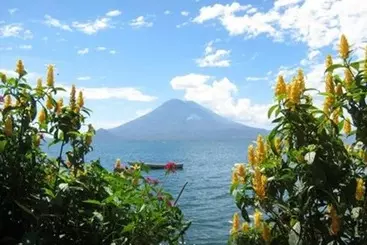 La Iguana Perdida   Hostel