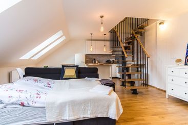 Krizikova Apartment Prague 8