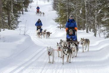 Жильё для туристов Valkea Arctic Lodge