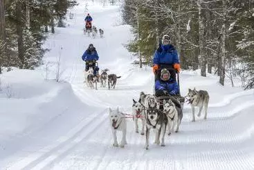 Turistlägenheter Valkea Arctic Lodge