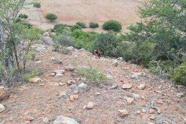 Appartement Farm Stays, Here You Will Be Able To Relax And Enjoy The Beauty Of Nature