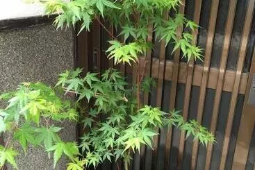 ペンション Kyoto Guest House Waon