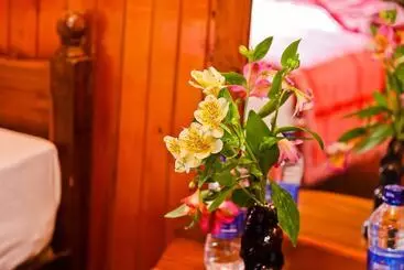 Apartamente turistice Pleasureinn Bungalow