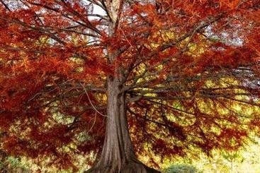 شقق خاصة سياحية Tegwan S Nest Holiday Home