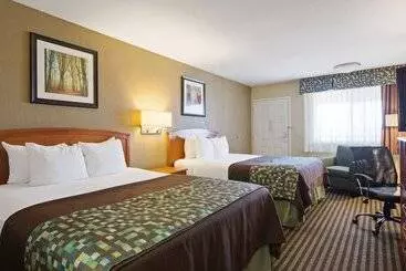 Otel Best Western Windsor Inn