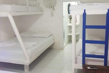 ホテル Playa Tiburon